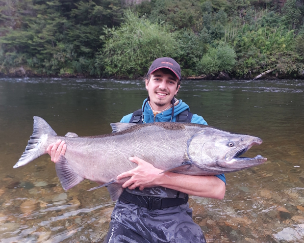 Chinook, Saumon Patagonie, le Roi du Rio 