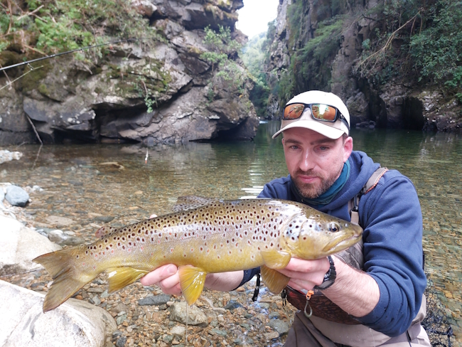 Belle Truite de Patagonie