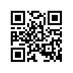 Code QR leurrestruites.com