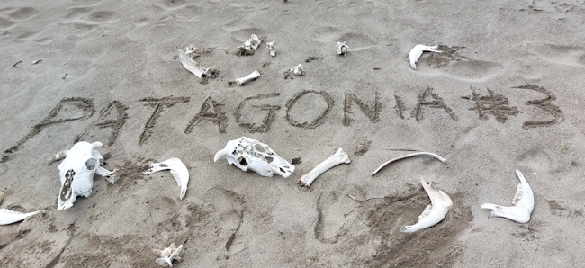 Patagonia#3, LeurresTruites.com, notre voyage de pêche en Patagonie