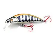 Emishi 50 First Type 2