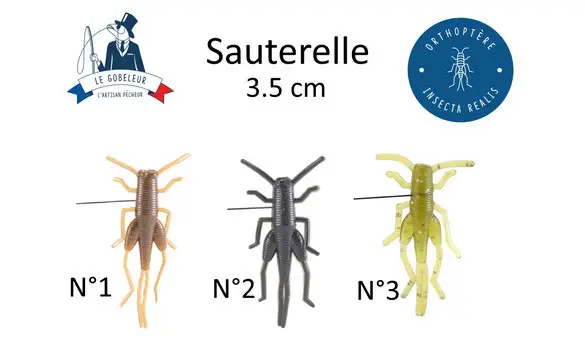 Sauterelle