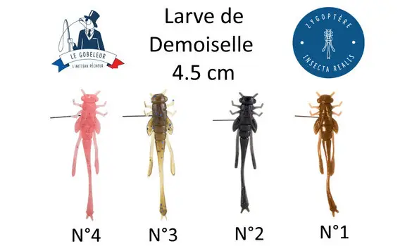 Larve de Demoiselle